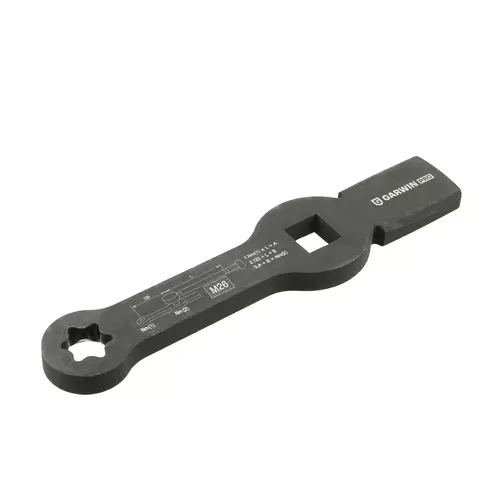 85ca0f02-7a31-4e0a-94a5-f1b0c50ca592-w488p