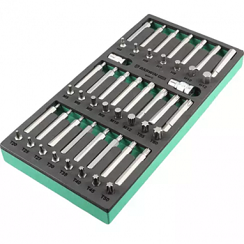 Набор бит 10 мм, Torx, Spline, Hex, 48 пр. в ложементе EVA GARWIN PRO, 646010
